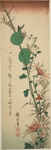 メジロと菊 作： Utagawa Hiroshige