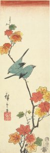 メープルの枝にいる白い目、1854