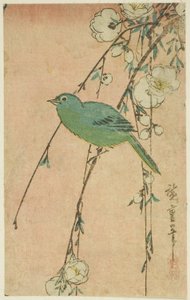 メジロとシダレザクラ 作： Utagawa Hiroshige