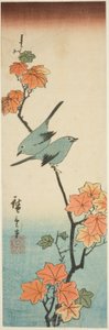 もみじの枝にメジロ 作： Utagawa Hiroshige