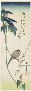 Java Sparrow and Morning Glories、1834-1839