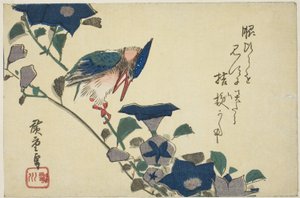 カワセミと桔梗 作： Utagawa Hiroshige