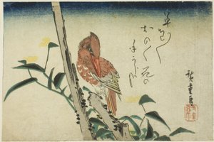 カワセミとツユクサ 作： Utagawa Hiroshige