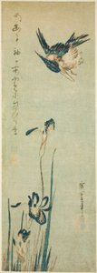 カワセミとアイリス 作： Utagawa Hiroshige