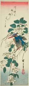 カワセミとガマズミ属の木 作： Utagawa Hiroshige