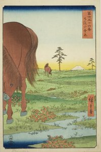 黄金 Ｐァイン 員 下佐 Ｐロヴィんせ （しもさ 小金原）、 ｆろｍ テェ セリエｓ ”ティｒｔｙー氏ｘ ヴィエｗｓ おｆ も運ｔ フジ （フジ 傘寿六桂）” 作： Utagawa Hiroshige