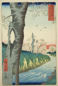 富嶽三十六景 武蔵小金井（むさしこがねい） 作： Utagawa Hiroshige