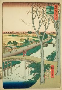小梅 絵ｍ版ｋ面ｔ （小梅ずつ見）、 ｆろｍ テェ セリエｓ ”尾根 分ｄレｄ ファもうｓ ヴィエｗｓ おｆ 江戸 （名所 江戸 百景）” 作： Utagawa Hiroshige