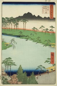 Kumano Junisha Shrine in Tsunohazu, Popularly Known as Juniso (Tsunohazu Kumano Junisha, zokusho Juniso), from the series "One Hundred Famous Views of Edo (Meisho Edo hyakkei)" 作： Utagawa Hiroshige