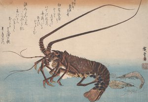 ロブスターとエビ、1832年頃