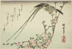 長尾鳥と桃の花 作： Utagawa Hiroshige