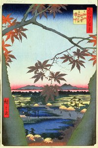 ママ、テコナ神社、連結橋のカエデの木、シリーズ94江戸百景、江戸時代、安政、1857年（版画） 作： Utagawa Hiroshige