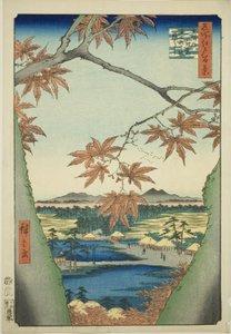 Maple Trees at Mama, Tekona Shrine and Tsugi Bridge (Mama no momiji, Tekona no yashiro, Tsugihashi), from the series "One Hundred Famous Views of Edo (Meisho Edo hyakkei)" 作： Utagawa Hiroshige