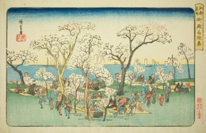 連載「江戸名所」より 御殿山遊興 作： Utagawa Hiroshige