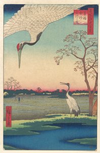  作： 歌川広重