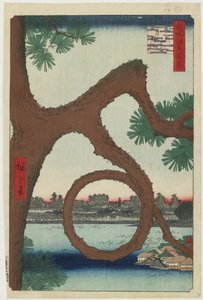 月松、上野寺境内、1857年8月