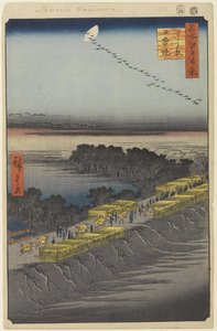 日本河岸、吉原、名所江戸百景1857年（版画） 作： Utagawa Hiroshige