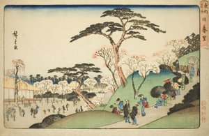 「東都名所」より 日暮里 作： Utagawa Hiroshige