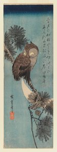 松の枝にいるフクロウ、1833年（色木版画） 作： Utagawa Hiroshige