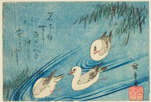 ミヤコドリ 作： Utagawa Hiroshige
