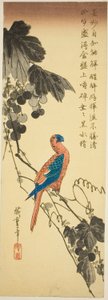 ブドウのつるのオウム 作： Utagawa Hiroshige