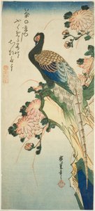 キジと菊 作： Utagawa Hiroshige