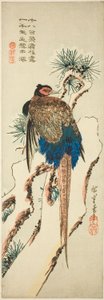 雪に覆われた松の木のキジ 作： Utagawa Hiroshige