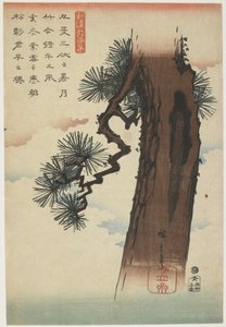パインツリー、1837-1844（カラー木版印刷）