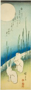 満月の下のウサギ 作： Utagawa Hiroshige