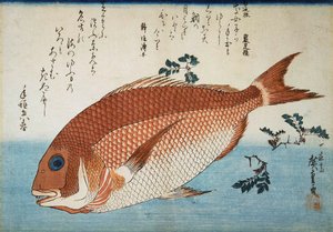 マダイ、1832-1834。 作： Utagawa Hiroshige
