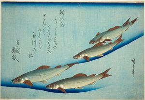川鱒 作： Utagawa Hiroshige