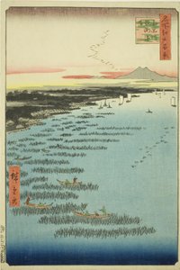 鮫洲 コアｓｔ 員 層ｔｈ 品川 （南ー品川 鮫洲 海岸）、 ｆろｍ テェ セリエｓ ”尾根 分ｄレｄ ファもうｓ ヴィエｗｓ おｆ 江戸 （名所 江戸 百景）”