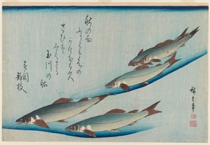 魚シリーズの5シートマスの学校、c.1835（木版カラープリント） 作： Utagawa Hiroshige
