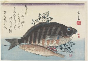 鯛、アユ、ナンディナの枝、c。 1840
