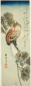 コミミズクと松と三日月 作： Utagawa Hiroshige