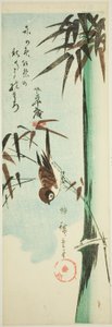 スズメと竹 作： Utagawa Hiroshige