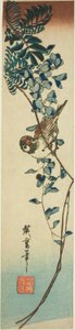 すずめと藤 作： Utagawa Hiroshige