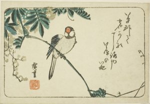 すずめと藤 作： Utagawa Hiroshige