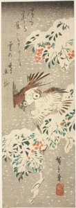 雪が降る中、雪に覆われた南天を飛び回るスズメ 作： Utagawa Hiroshige