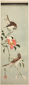 雪中のスズメとツバキ 作： Utagawa Hiroshige