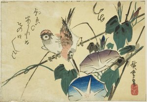 スズメと朝顔 作： Utagawa Hiroshige