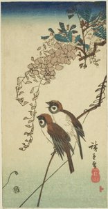 スズメと藤 作： Utagawa Hiroshige