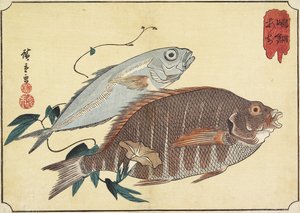 縞模様の鯛とマサバ、19世紀初頭