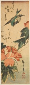ツバメとハイビスカス 作： Utagawa Hiroshige