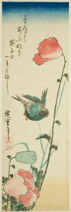 ツバメとポピー 作： Utagawa Hiroshige