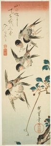 ツバメと桜 作： Utagawa Hiroshige
