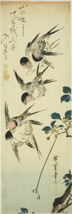 ツバメと開花枝 作： Utagawa Hiroshige