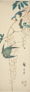 ツバメと藤 作： Utagawa Hiroshige