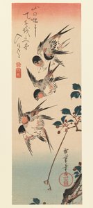 タンザク、四ツバメ、1832年（色木版画） 作： Utagawa Hiroshige