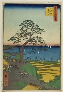 名所江戸百景』より「八景坂の鎧掛けの松 作： Utagawa Hiroshige